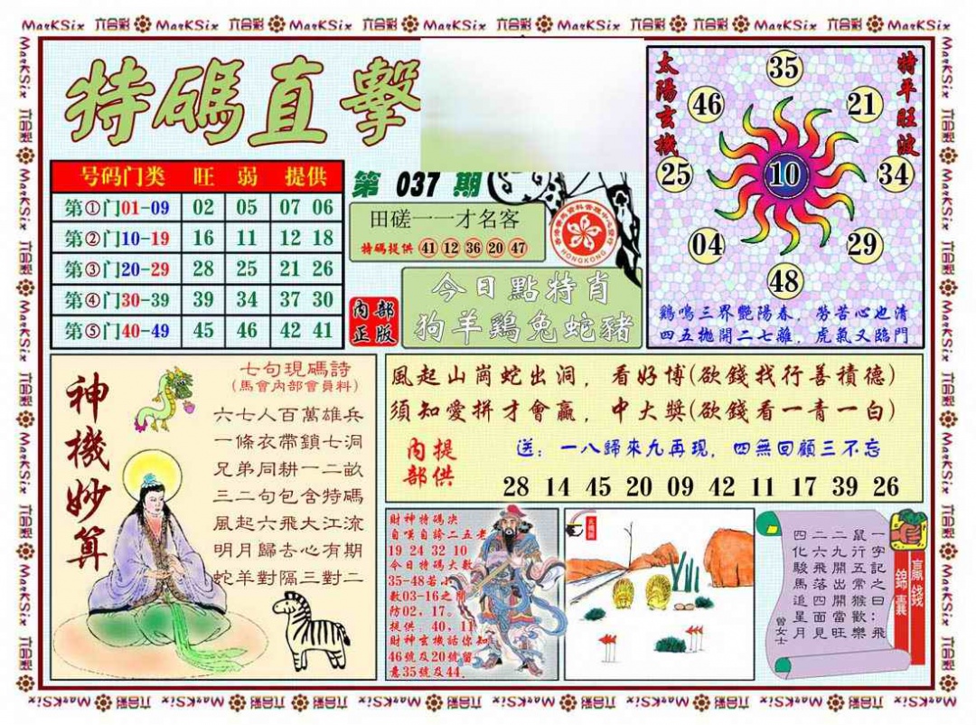037期特马直击[图]