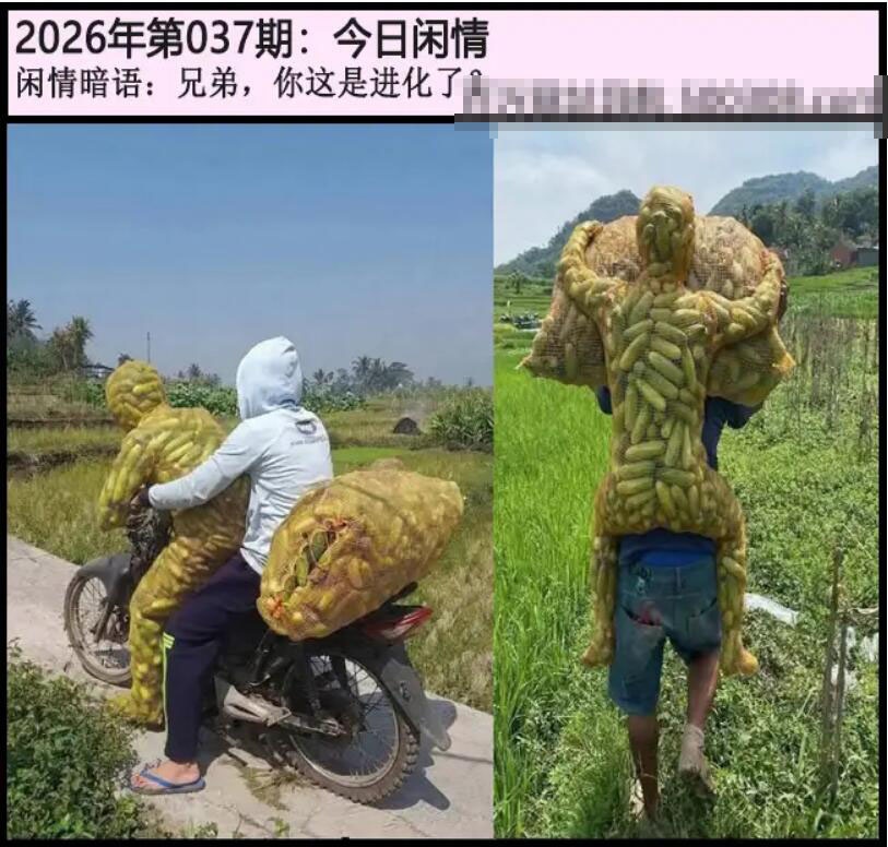 037期另版今日闲情[图]