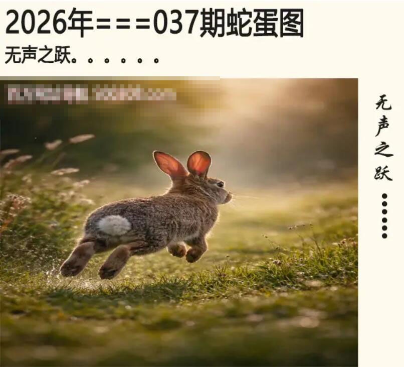 037期另版蛇蛋图[图]